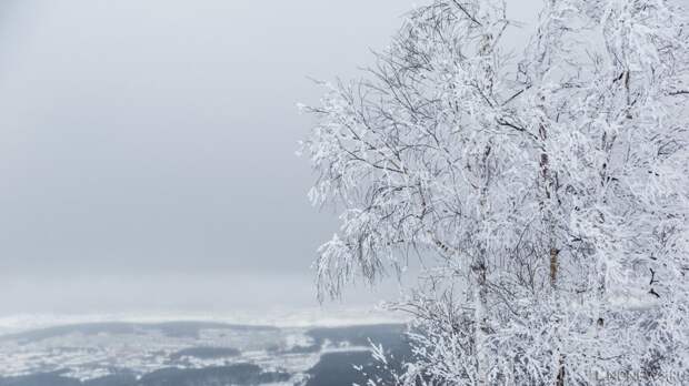 «Каникулы» продолжаются: в школах Челябинска вновь отменили занятия