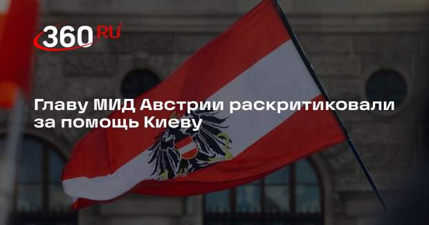 Kurier: в Австрии потребовали отставки главы МИД из-за финансовой помощи Украине