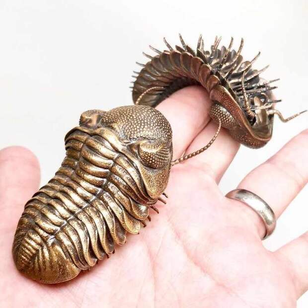 Two bronze trilobites. Dr. Allan Drummond