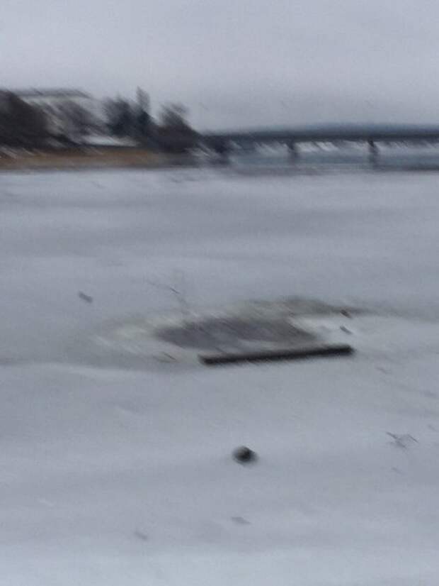 Мужчина спас собаку, провалившуюся под лед Ладожского озера в Карелии