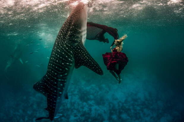 Фотосессии Ханны Фрейзер с китами