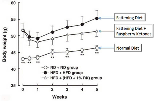 Morimoto et al, 2005 - Raspberry Ketones and Body Weight