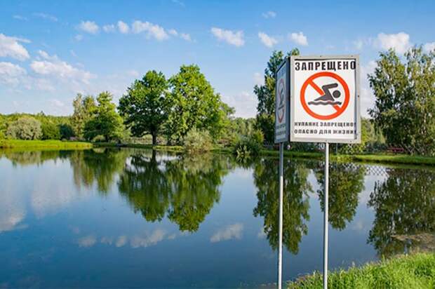 Прокуратура выявила нарушения в подготовке пляжей Могилевщины: отсутствие зон для детей и нехватка спасателей.