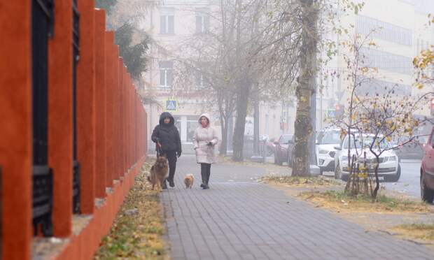 Сильный ветер ожидается в Поморье 22 ноября