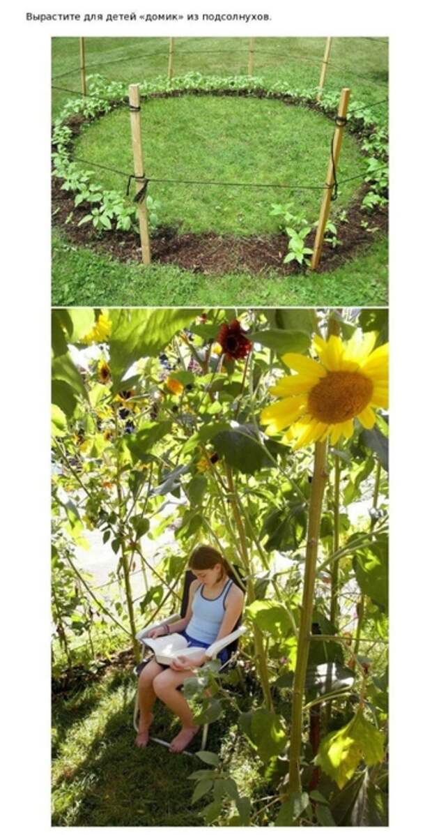 dacha_15 (362x700, 207Kb)