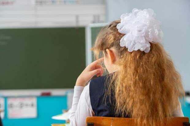 В Госдуме предложили сделать бесплатный доступ к образовательным ресурсам на детских SIM-картах