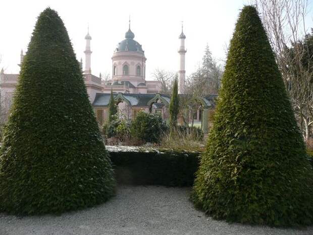 Туя складчатая, Шветцинген, Турецкий сад, Германия