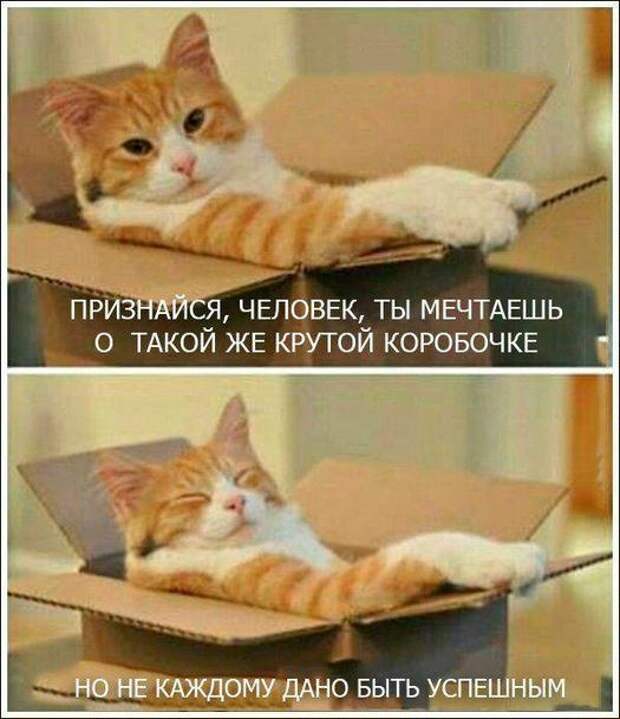 Подборка комиксов и карикатур