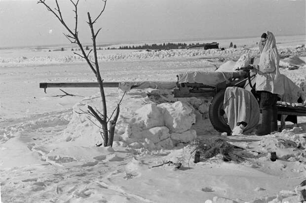 Фотография. Источник: mos.ru