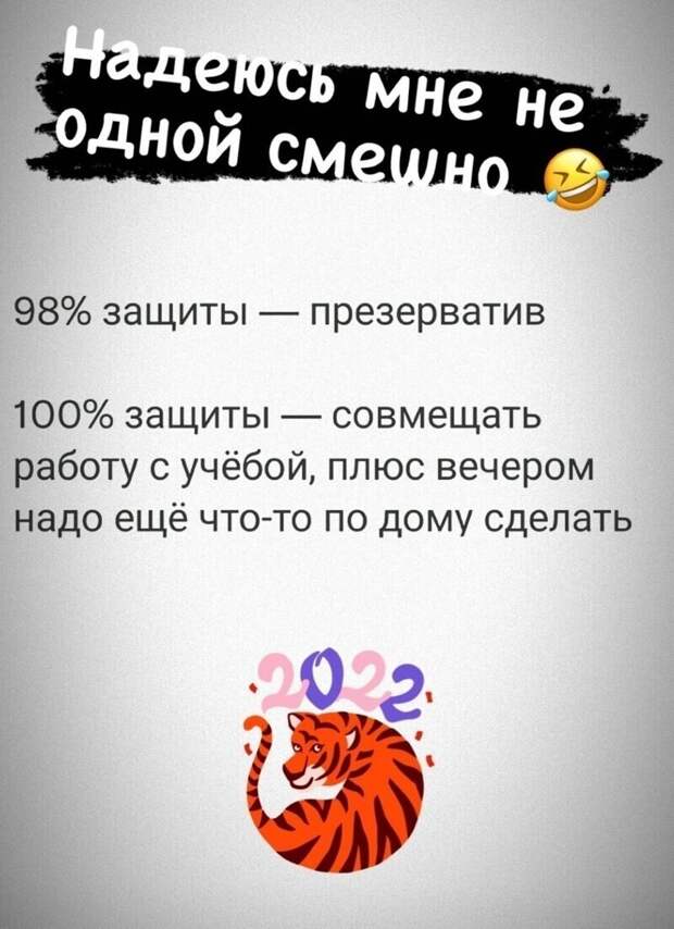 8. Вот она - ЖИЗА