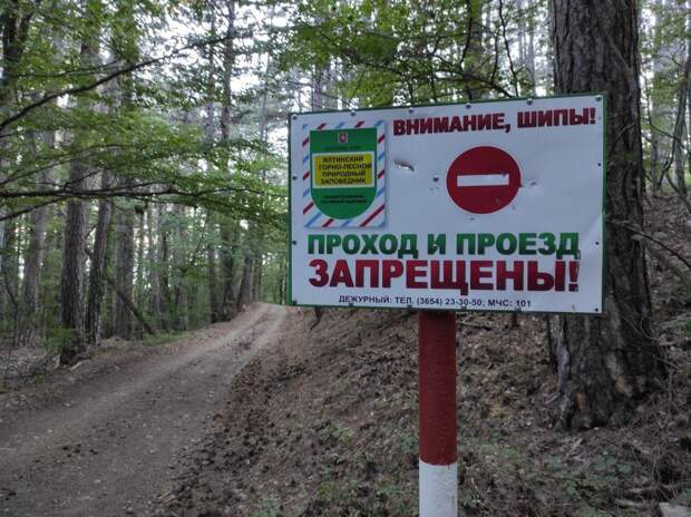 В лесу в районе Ай-Петри начали подсчитывать туристов