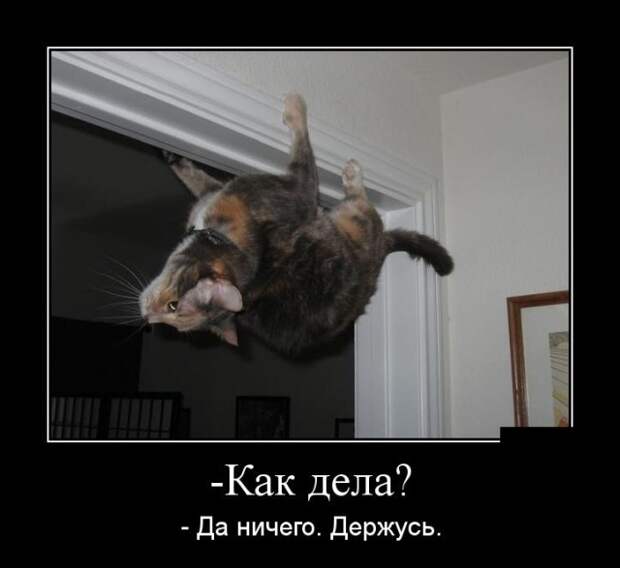 Демотиваторы (30 фото)
