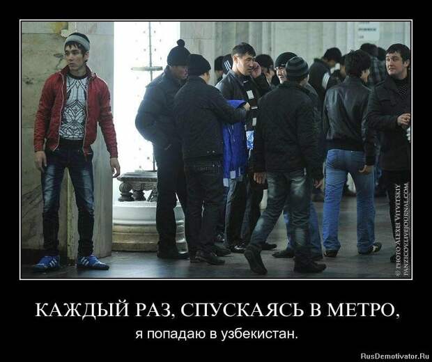 Фото из открытых источников
