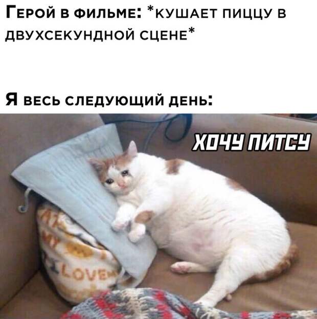 Смешные картинки 5 августа 2021 года