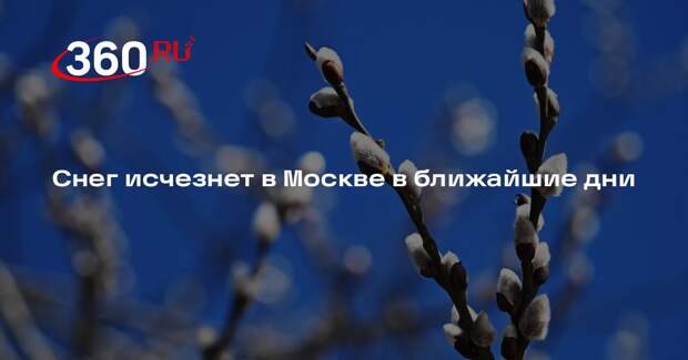 Синоптик Тишковец: в Московском регионе снег исчезнет с началом апреля