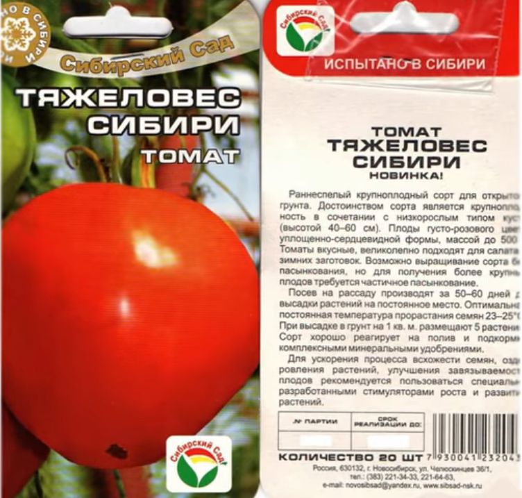 Подборка самых мясистых, «арбузных» томатов: 6 сортов на будущий сезон