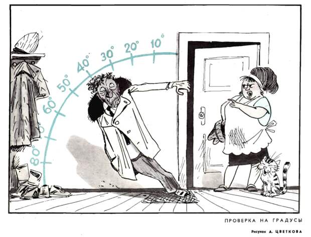Над чем смеялись и шутили в журнале "Крокодил" в 1969 году. Всё жизненно