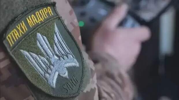 ВСУ перебросили элитных дроноводов "Птицы Мадьяра" под Доброполье