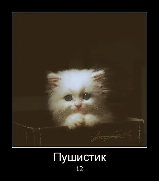 Грустно без него. Грустно без него