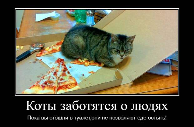 Прикольные демотиваторы с надписями. Подборка chert-poberi-dem-chert-poberi-dem-23130416012021-17 картинка chert-poberi-dem-23130416012021-17