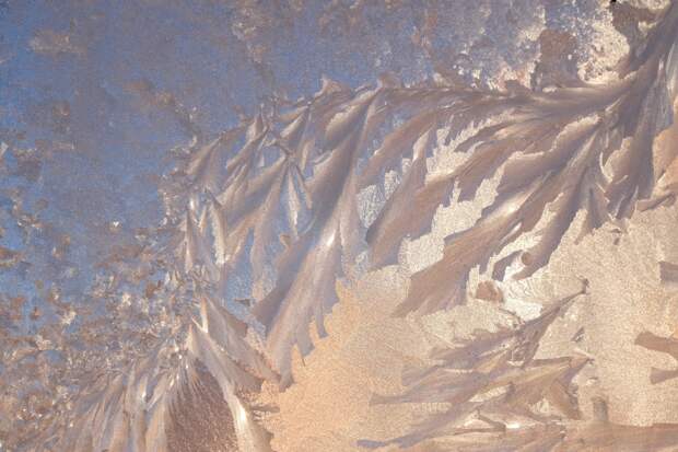 Морозы до -30 градусов ударили прошедшей ночью в Подмосковье