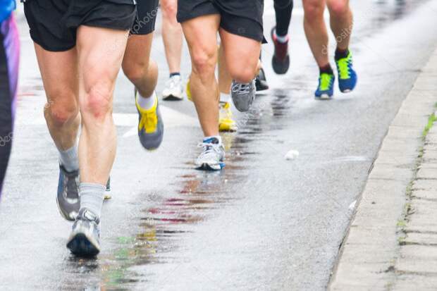 depositphotos_24953115-stock-photo-detail-of-the-legs-of alt