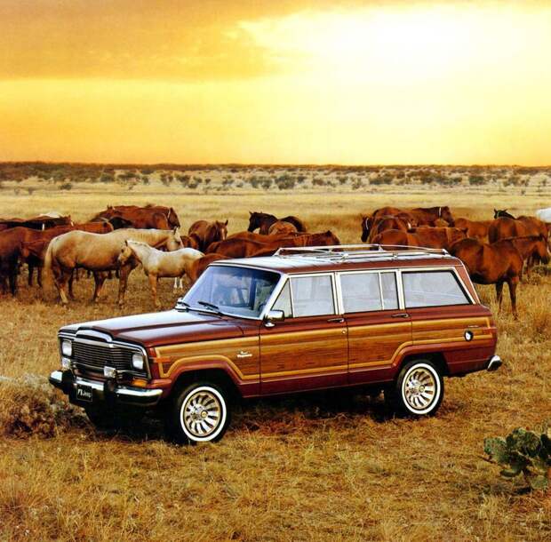 Эволюция шкафа авто, Woody