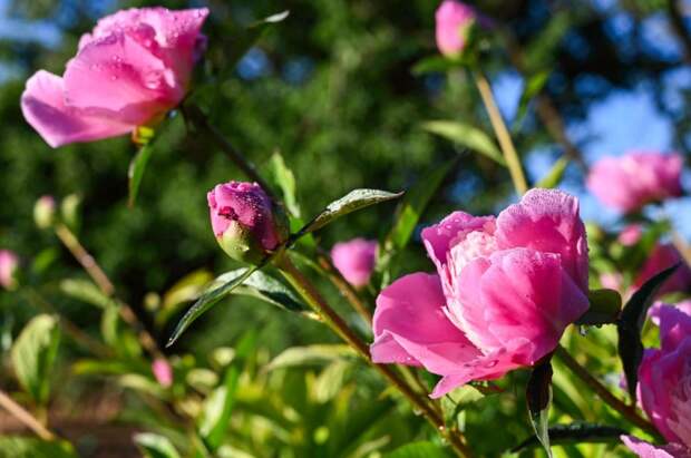 Погода 29 мая: днём до +24