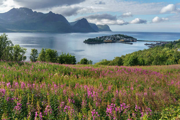 Невероятная Норвегия: Чудо-юдо Рыба-кит