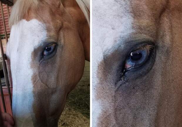 10 снимков с изображением разных явлений нашего мира, которые заставят вас изумиться