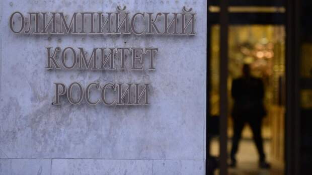 Олимпийский мишка стал талисманом сборной России