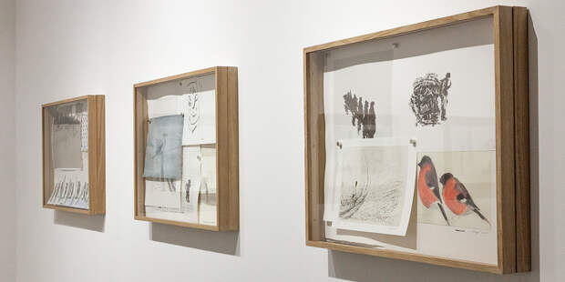 Алексей Веселовский — о новом проекте Ольги Чернышевой в ПиранезиLAB