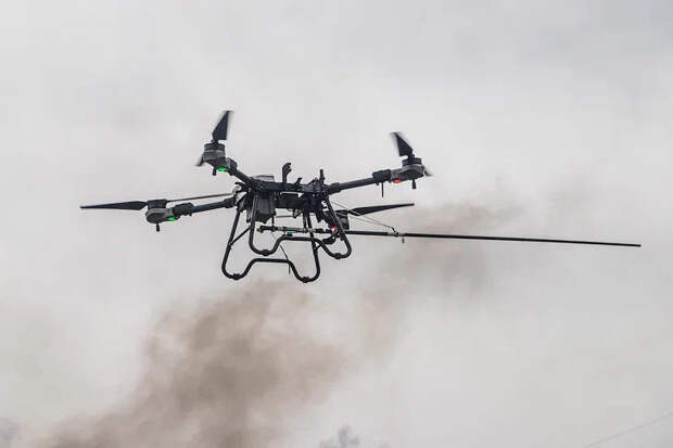 Перемещение скота контролируют с беспилотников в Новосибирской области