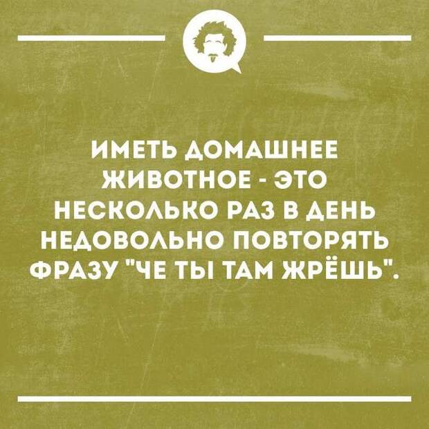 17 разрывных анекдотов для отличного настроя. Позитив на весь день!