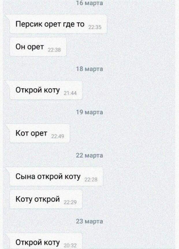 2. Типичная переписка с мамой