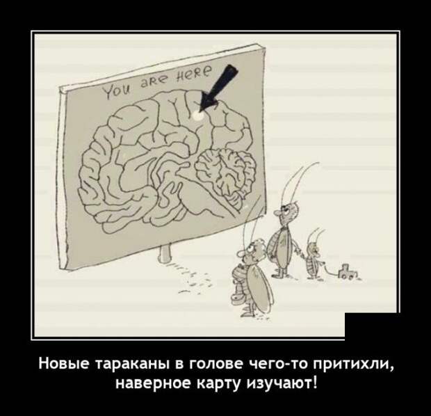 Демотиватор про тараканов