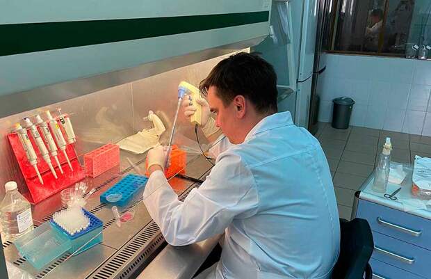 Российские ученые разработали антибактериальное соединение на основе вещества из коры березы