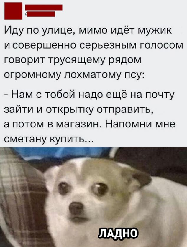 Смешные картинки приколы и мемы (8)