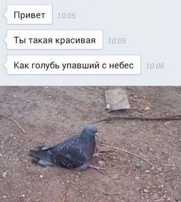 Смешные «Подкаты» к девушкам Смешные «Подкаты» к девушкам