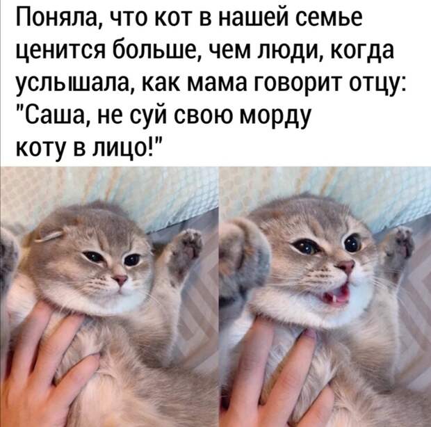 Ценность Ценность