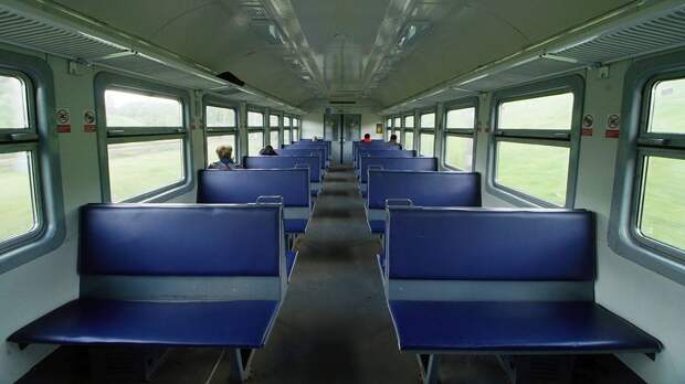 Неизвестные бросили домашних крыс в подмосковной электричке