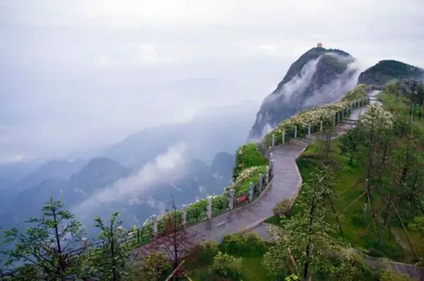 У природы нет плохой погоды: 5 самых дождливых местечек планеты