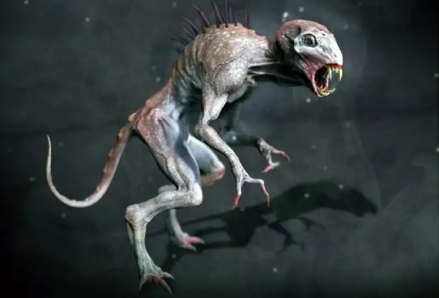 Фото: Очевидцы рассказали о встрече с «инопланетным существом» Очевидцы рассказали о встрече с «инопланетным существом»