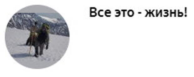 Россия начинает сворачивать сотрудничество с государствами, которые ведут антироссийскую политику