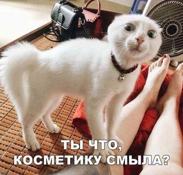 Супер ржачные картинки и мемы