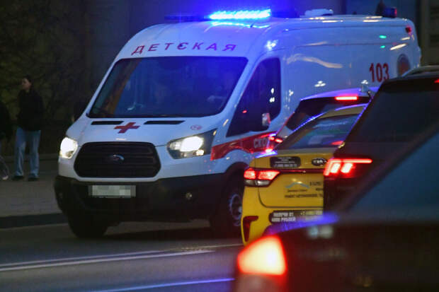 Хинштейн: ребенок пострадал при атаке ВСУ на село Мокрушино в Курской области