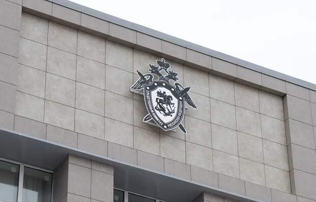 Тулячка предстанет перед судом за мошенничество с маткапиталом