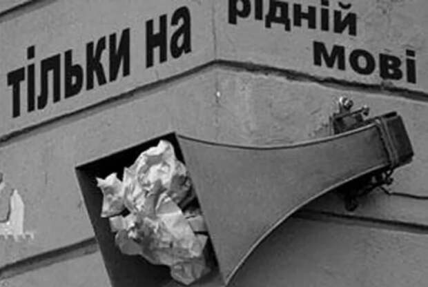 Фото с сайта: pg12.in.ua