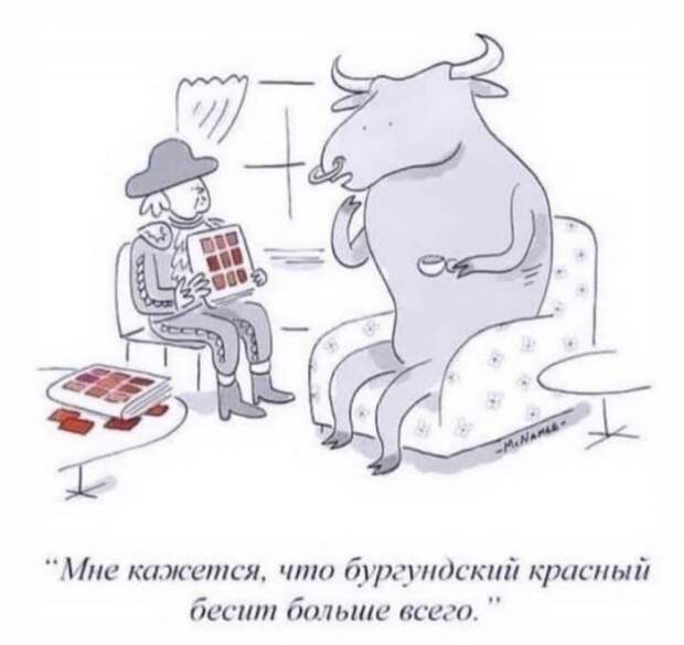 Лучшие шутки и мемы из Сети