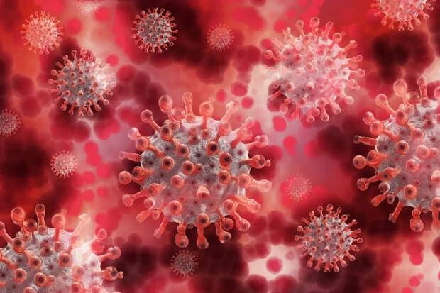 ТОП-7 самых опасных вирусов на планете: мнение ученых